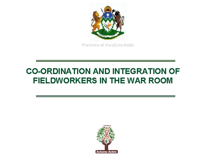 Province of Kwa. Zulu-Natal CO-ORDINATION AND INTEGRATION OF FIELDWORKERS IN THE WAR ROOM 