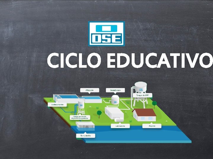 CICLO EDUCATIVO 