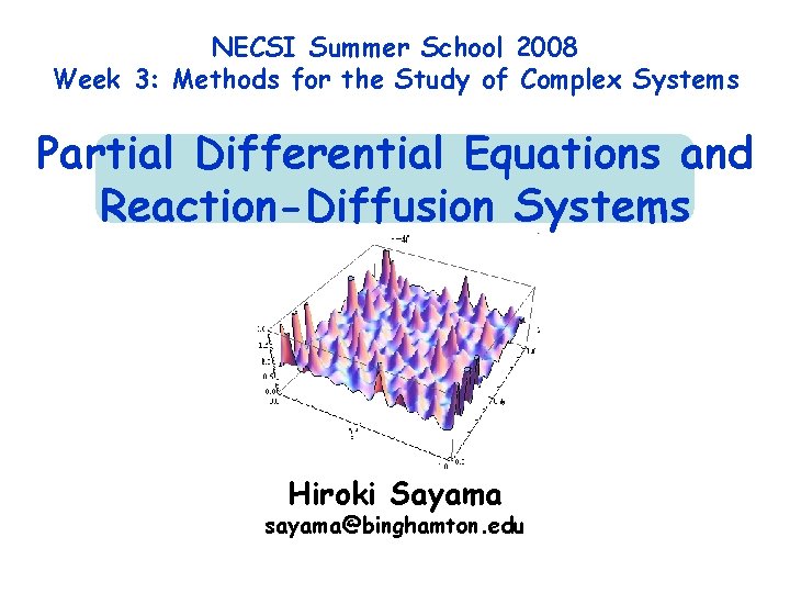 NECSI Summer School 2008 Week 3: Methods for the Study of Complex Systems Partial