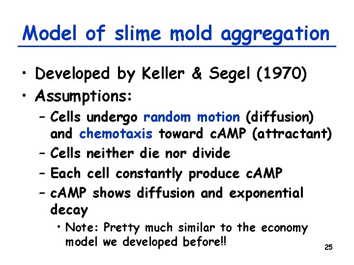 Model of slime mold aggregation • Developed by Keller & Segel (1970) • Assumptions: