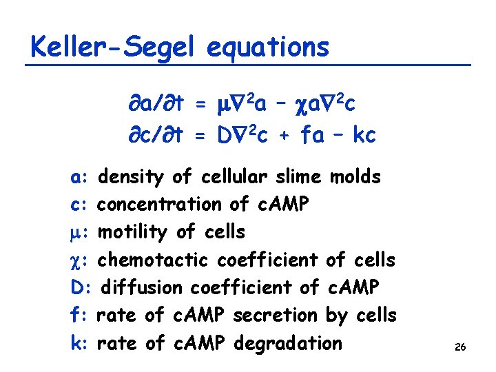 Keller-Segel equations a/ t = m 2 a – ca 2 c c/ t