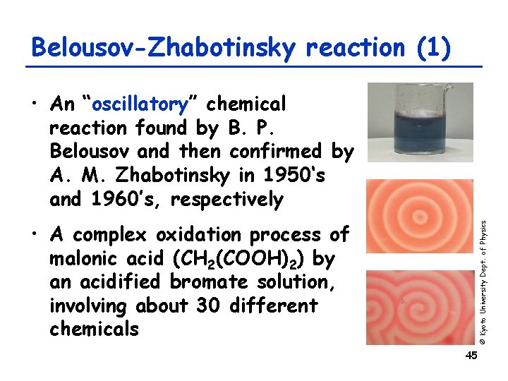 Belousov-Zhabotinsky reaction (1) • An “oscillatory” chemical reaction found by B. P. Belousov and