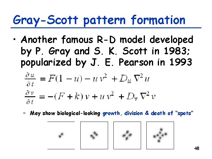 Gray-Scott pattern formation • Another famous R-D model developed by P. Gray and S.