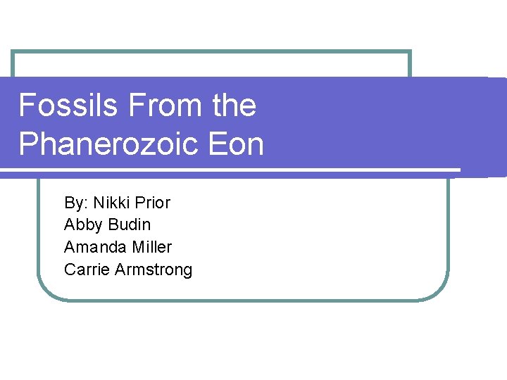 Fossils From the Phanerozoic Eon By: Nikki Prior Abby Budin Amanda Miller Carrie Armstrong