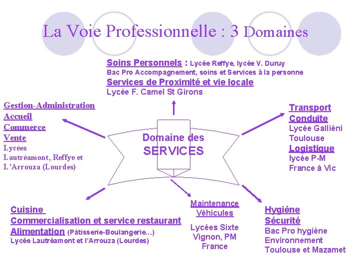 La Voie Professionnelle : 3 Domaines Soins Personnels : Lycée Reffye, lycée V. Duruy