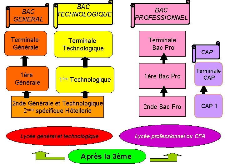 BAC GENERAL Terminale Générale 1ère Générale BAC TECHNOLOGIQUE Terminale Technologique 1ère Technologique 2 nde