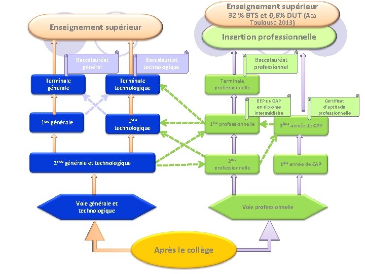 Enseignement supérieur 32 % BTS et 0, 6% DUT (Aca Toulouse 2013) Enseignement supérieur