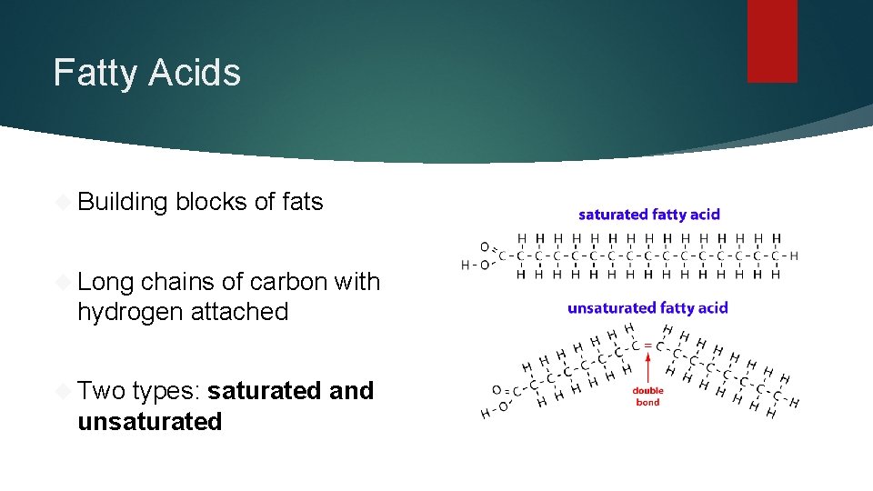 Fatty Acids Building blocks of fats Long chains of carbon with hydrogen attached Two