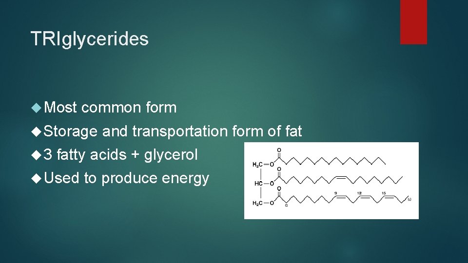 TRIglycerides Most common form Storage 3 and transportation form of fatty acids + glycerol