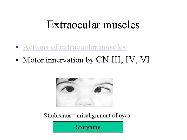 Extraocular muscles • Actions of extraocular muscles • Motor innervation by CN III, IV,