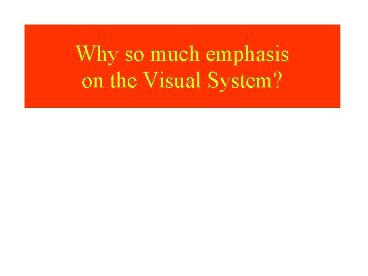 Why so much emphasis on the Visual System? 