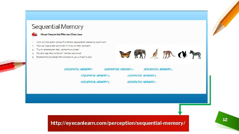 http: //eyecanlearn. com/perception/sequential-memory/ 12 