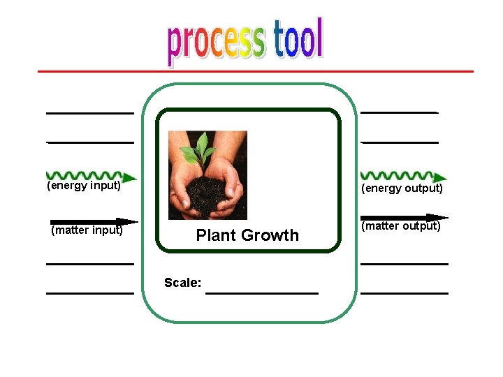 (energy input) (energy output) (matter input) (matter output) Plant Growth Scale: 