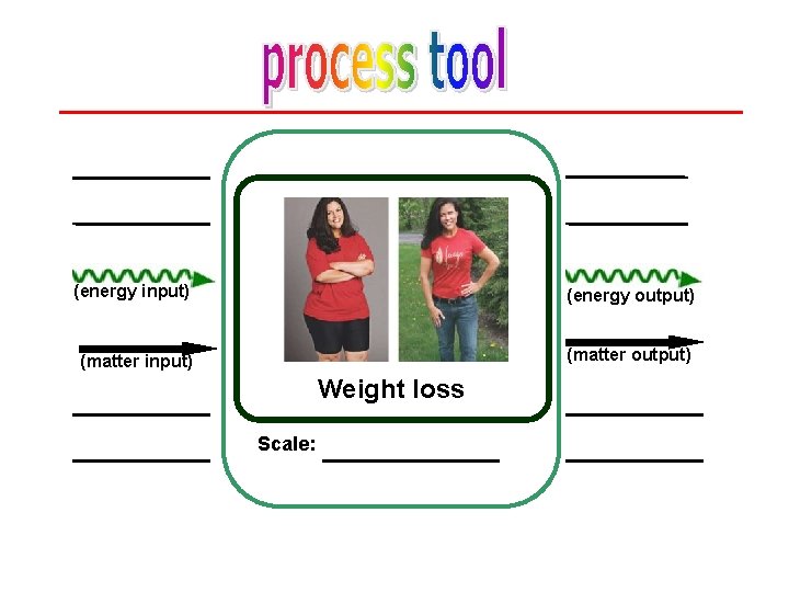 (energy input) (energy output) (matter input) (matter output) Weight loss Scale: 