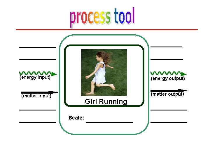 (energy input) (energy output) (matter input) (matter output) Girl Running Scale: 