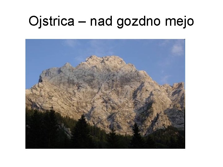 Ojstrica – nad gozdno mejo 