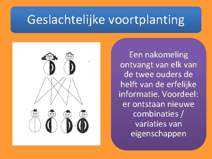 Geslachtelijke voortplanting Een nakomeling ontvangt van elk van de twee ouders de helft van