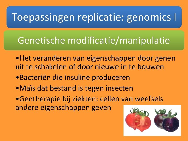 Toepassingen replicatie: genomics I Genetische modificatie/manipulatie • Het veranderen van eigenschappen door genen uit