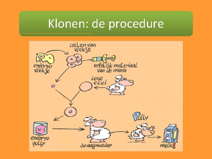 Klonen: de procedure 