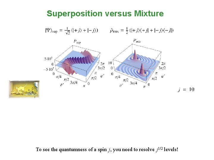 Superposition versus Mixture To see the quantumness of a spin j, you need to