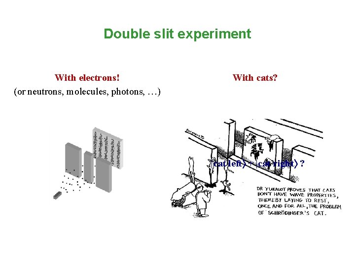 Double slit experiment With electrons! (or neutrons, molecules, photons, …) With cats? |cat left