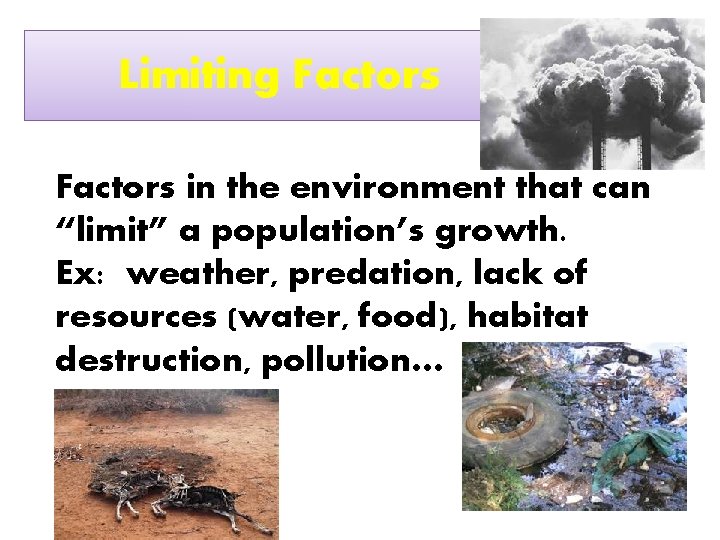 Limiting Factors in the environment that can “limit” a population’s growth. Ex: weather, predation,
