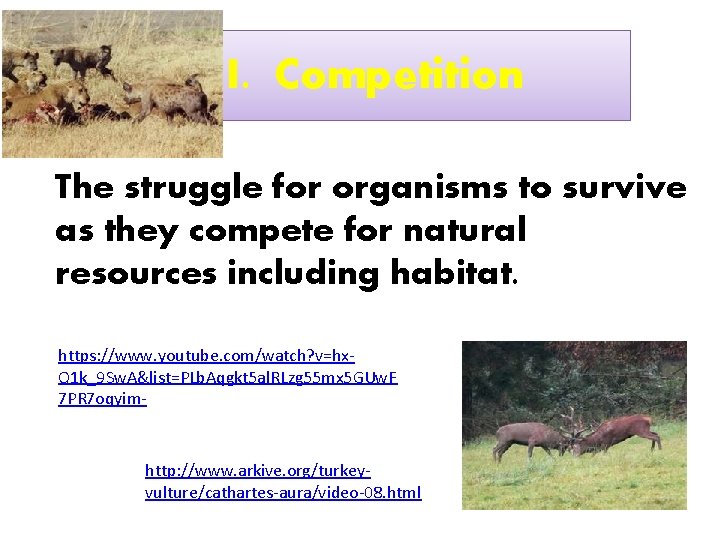 I. Competition The struggle for organisms to survive as they compete for natural resources