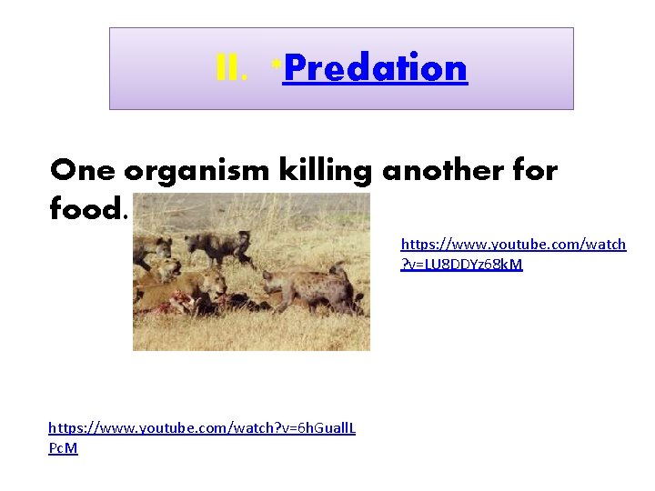 II. *Predation One organism killing another food. https: //www. youtube. com/watch ? v=LU 8
