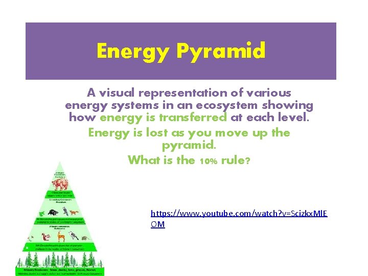Energy Pyramid A visual representation of various energy systems in an ecosystem showing how