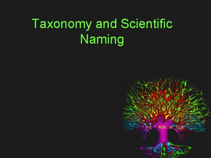 Taxonomy and Scientific Naming 