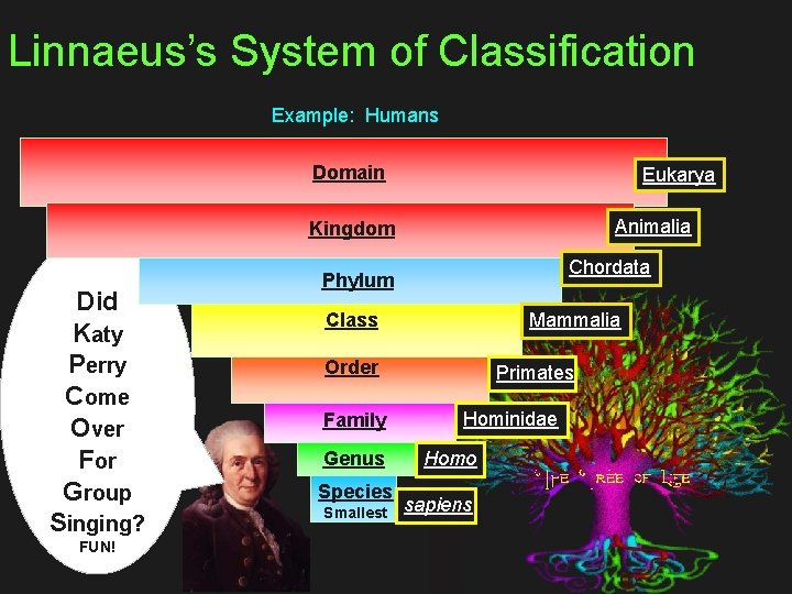 Linnaeus’s System of Classification Example: Humans Domain Eukarya Animalia Kingdom Did Katy Perry Come