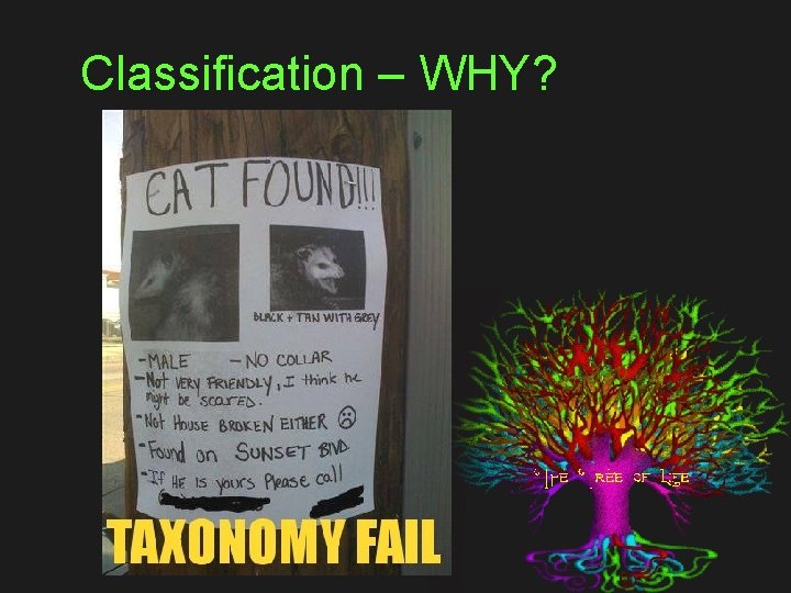 Classification – WHY? 
