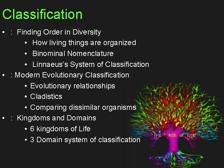 Classification • : Finding Order in Diversity • How living things are organized •