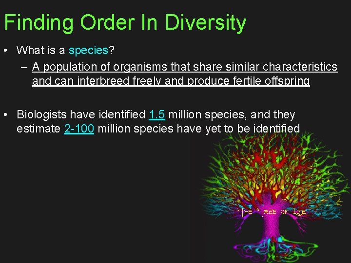 Finding Order In Diversity • What is a species? – A population of organisms