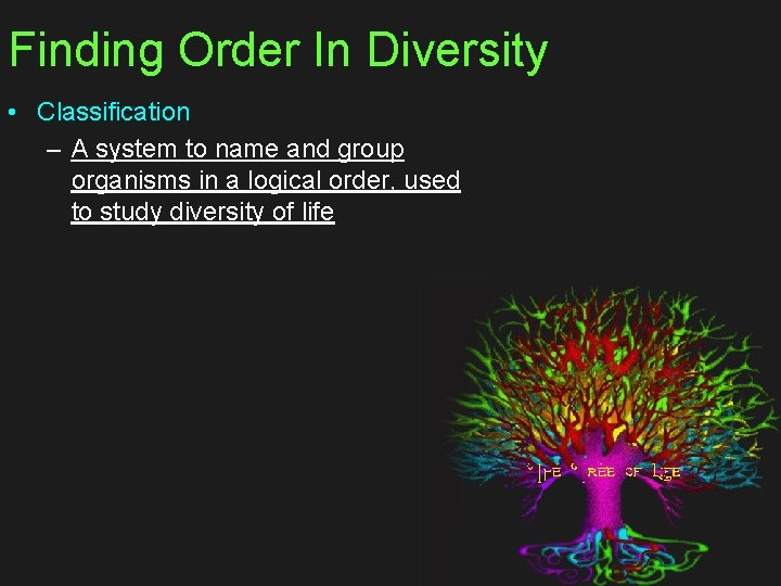 Finding Order In Diversity • Classification – A system to name and group organisms