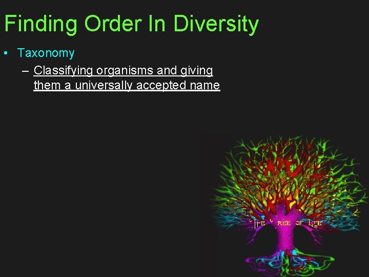 Finding Order In Diversity • Taxonomy – Classifying organisms and giving them a universally