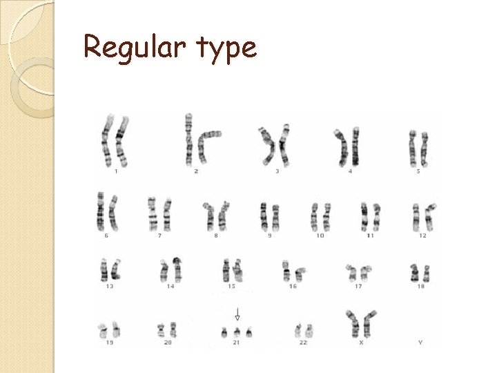 Regular type Regular type