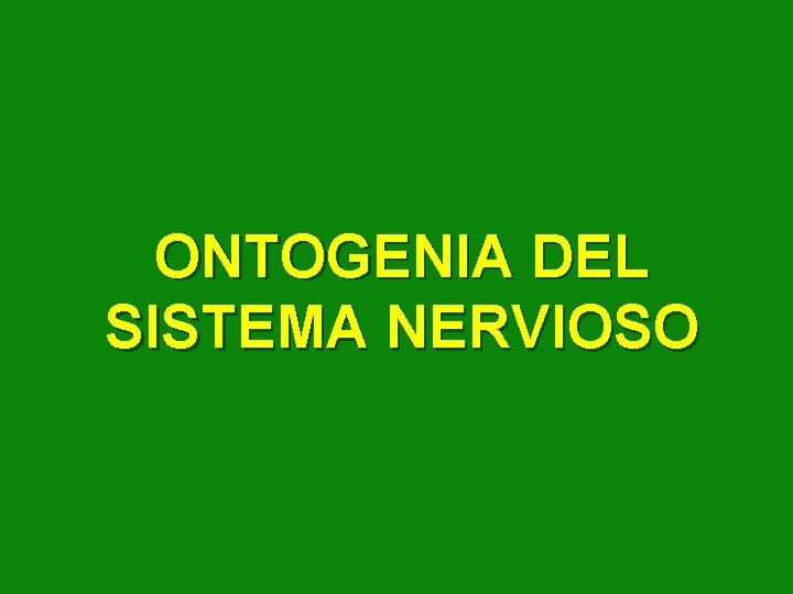 ONTOGENIA DEL SISTEMA NERVIOSO 