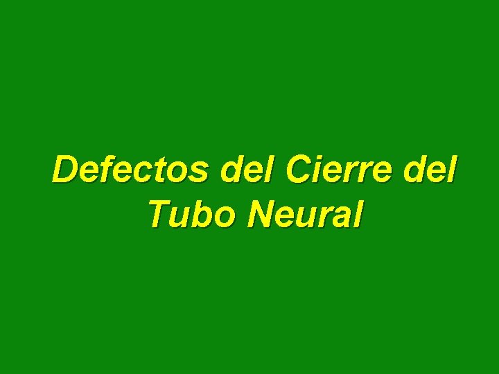 Defectos del Cierre del Tubo Neural 