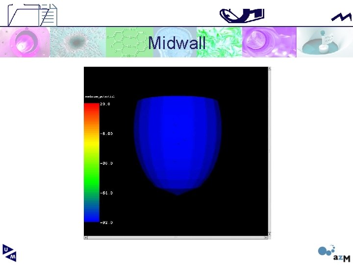 Midwall 