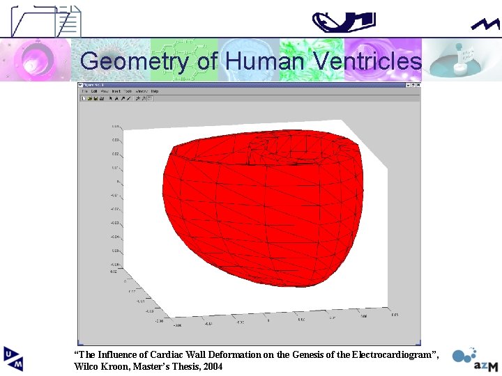 Geometry of Human Ventricles “The Influence of Cardiac Wall Deformation on the Genesis of