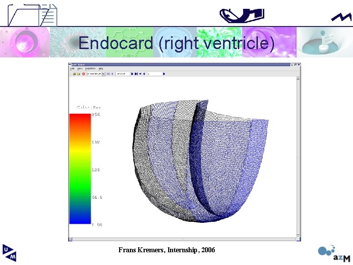 Endocard (right ventricle) Frans Kremers, Internship, 2006 