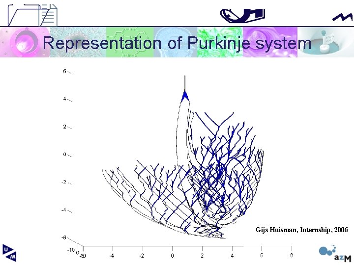 Representation of Purkinje system Gijs Huisman, Internship, 2006 