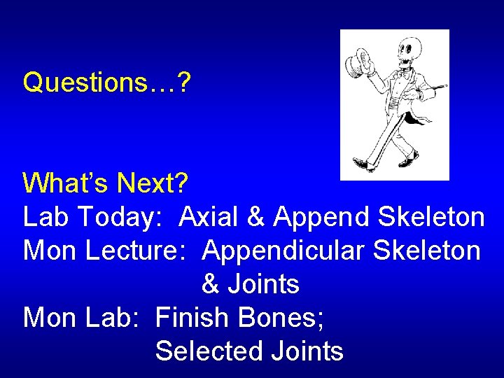 Questions…? What’s Next? Lab Today: Axial & Append Skeleton Mon Lecture: Appendicular Skeleton &