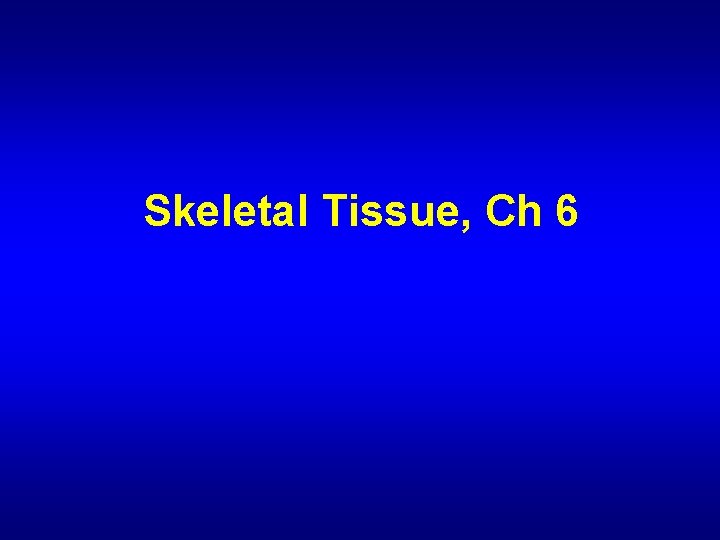 Skeletal Tissue, Ch 6 