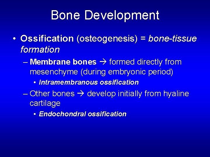 Bone Development • Ossification (osteogenesis) = bone-tissue formation – Membrane bones formed directly from