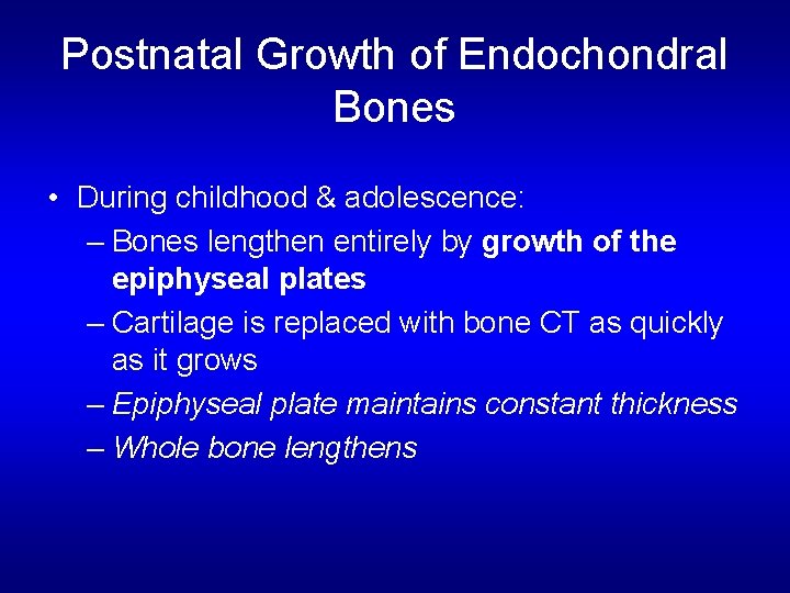 Postnatal Growth of Endochondral Bones • During childhood & adolescence: – Bones lengthen entirely