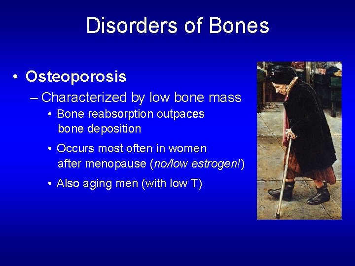 Disorders of Bones • Osteoporosis – Characterized by low bone mass • Bone reabsorption