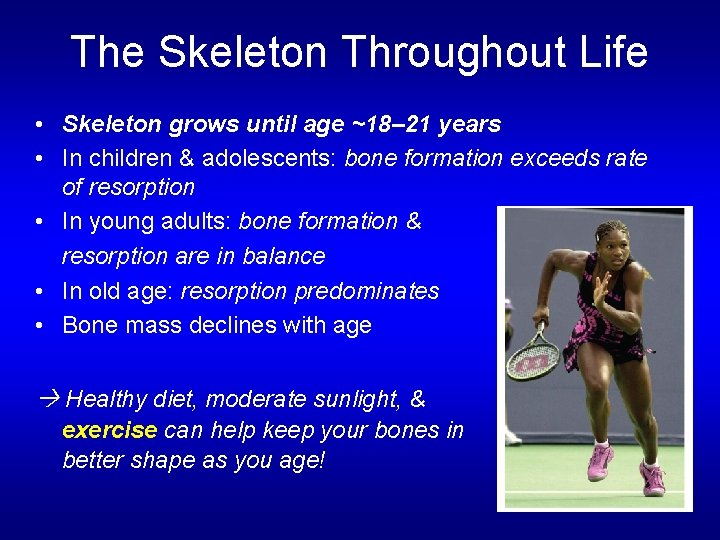 The Skeleton Throughout Life • Skeleton grows until age ~18– 21 years • In