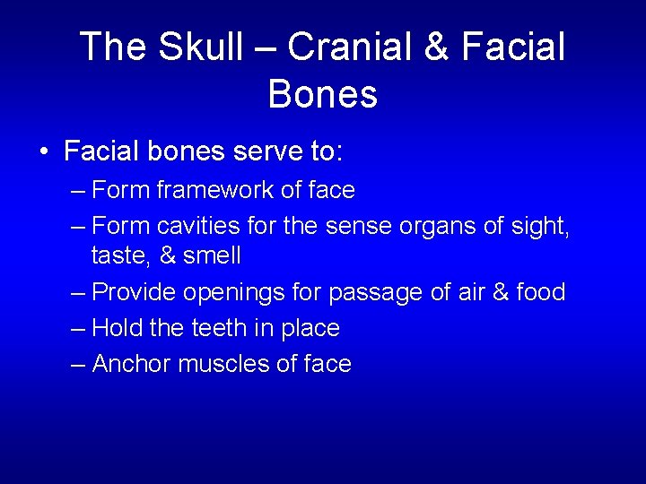 The Skull – Cranial & Facial Bones • Facial bones serve to: – Form